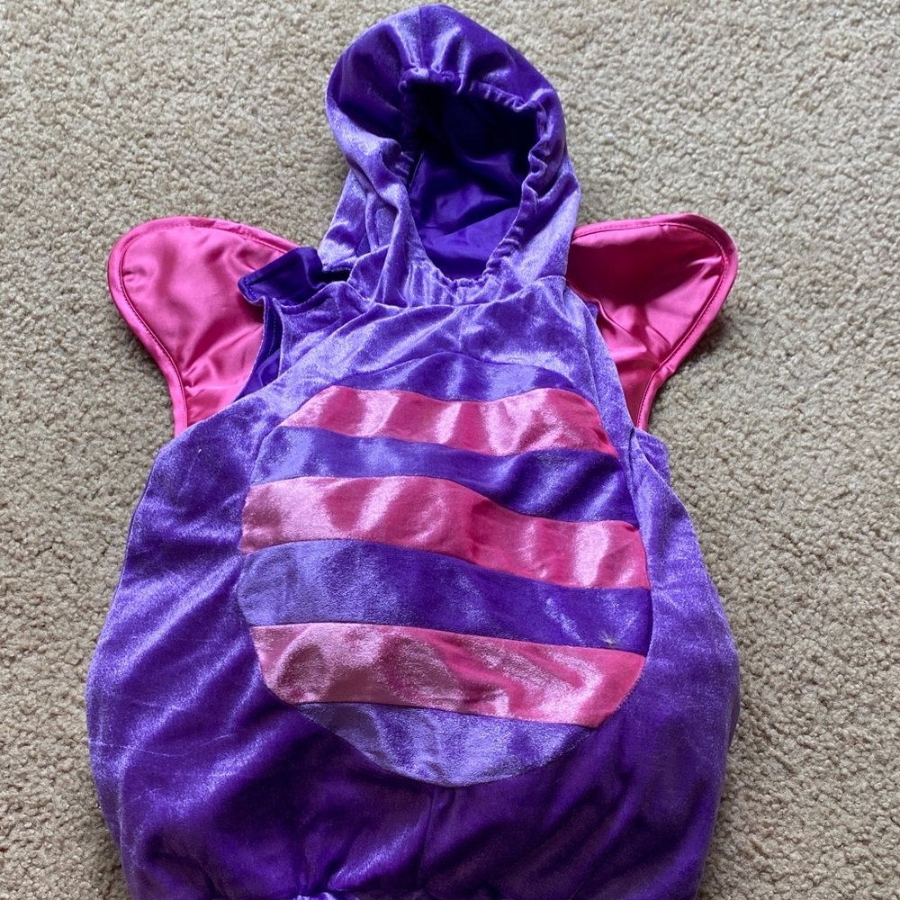Koala Kids butterfly costume